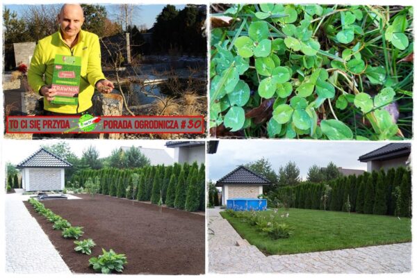 Trawnik który sam się nawozi Tak to możliwe z ogrodem na TY