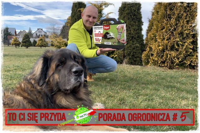 Jak Skutecznie Pozby Si Kreta Z Ogrodu Z Ogrodem Na Ty