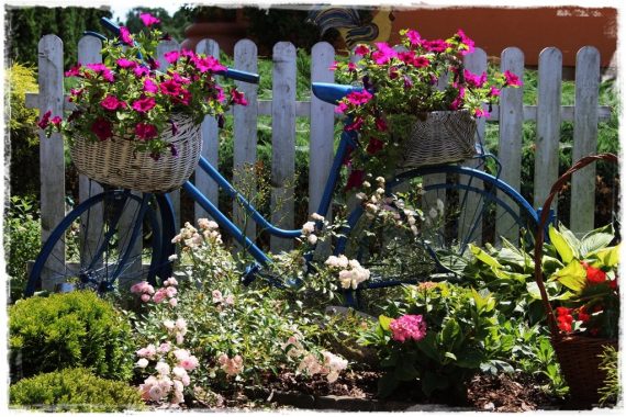 stary rower w ogrodzie zogrodemnaty1