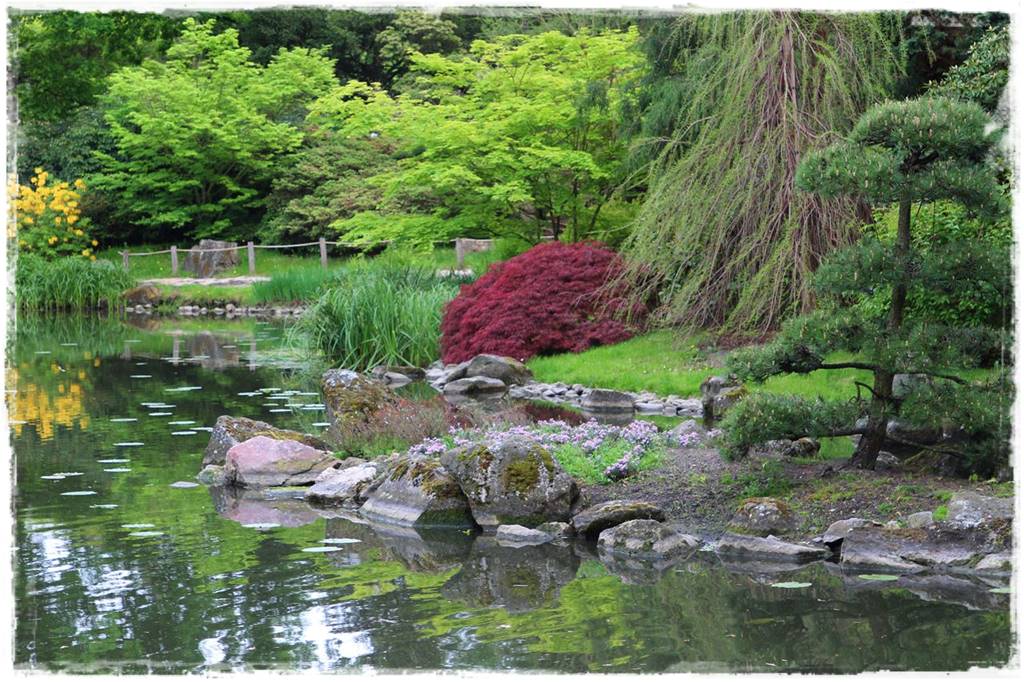 Ogród japoński 10