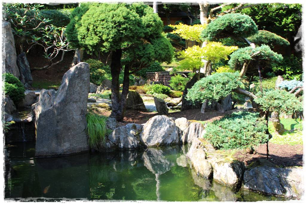Ogród japoński 10b