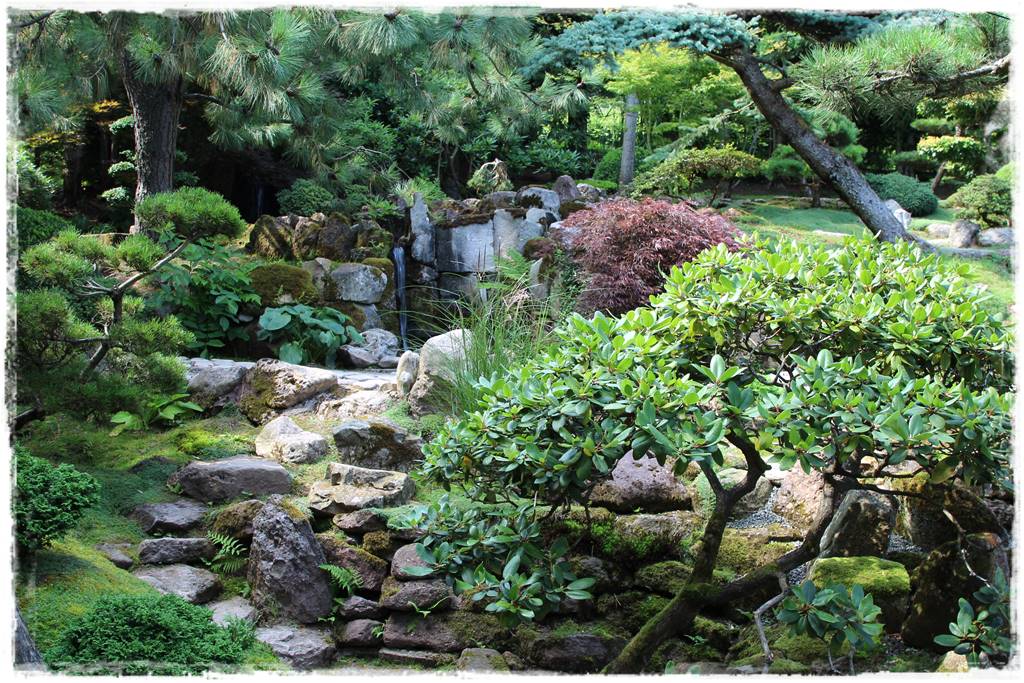 Ogród japoński 16