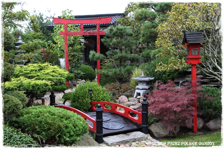 Ogród japoński 2