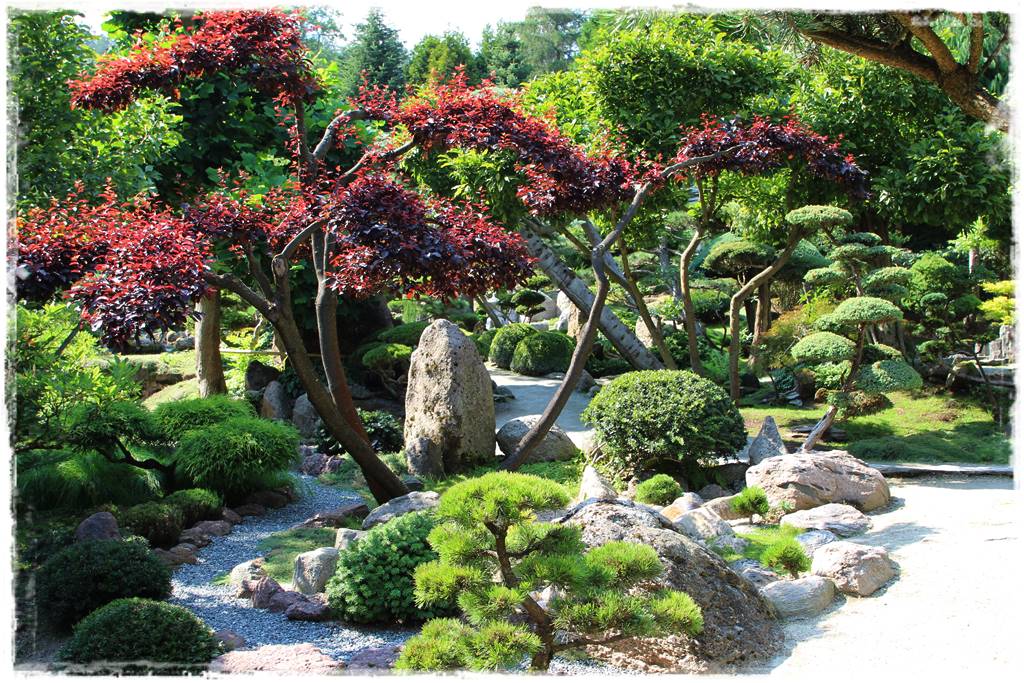 Ogród japoński 21