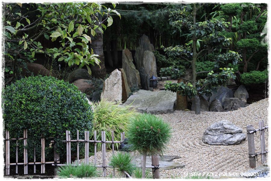 Ogród japoński 6