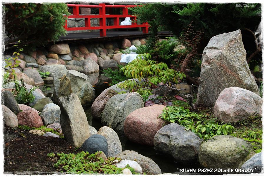 Ogród japoński 8
