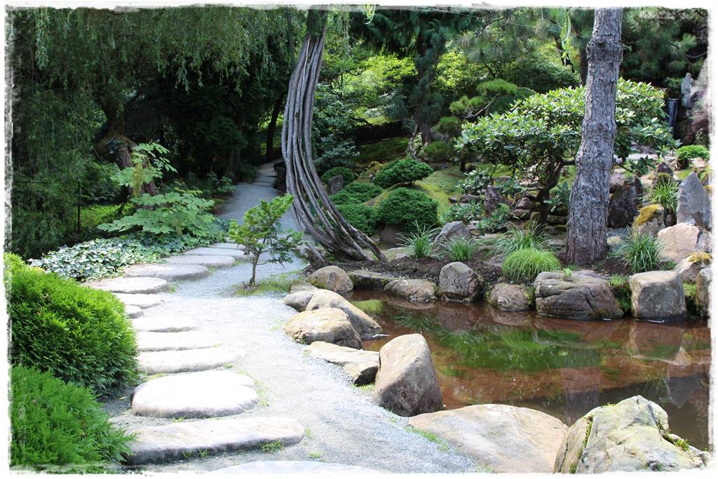Ogród japoński 9