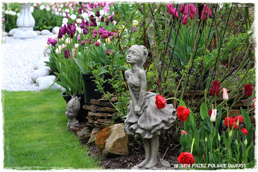 Tulipanowy ogród 42