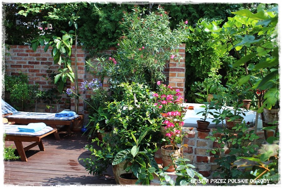 Ogród w stylu śródziemnomorskim 40