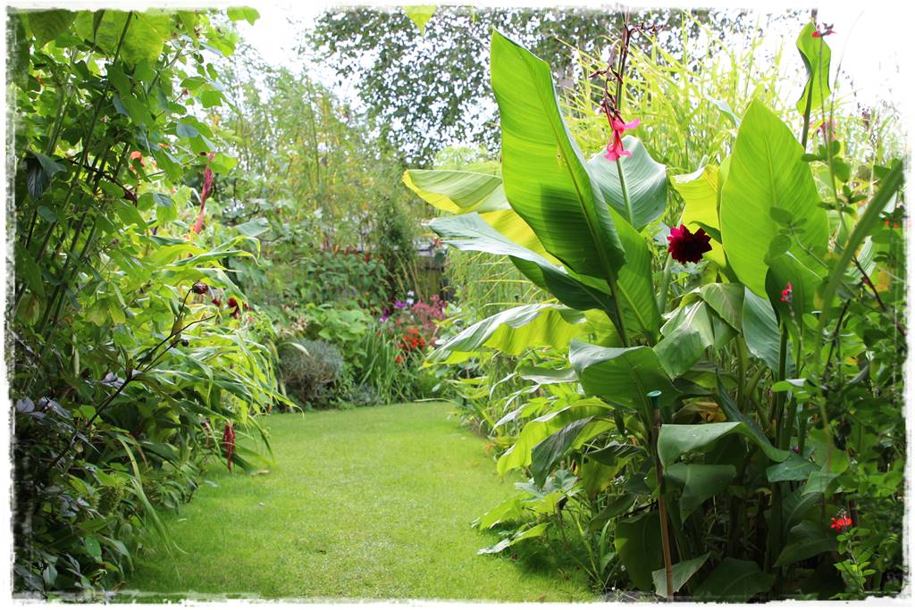 Egzotyczne rośliny do ogrodu 1