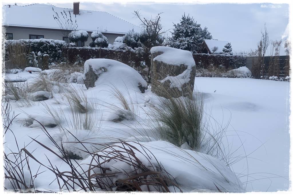Ogród piękny zimą 20j