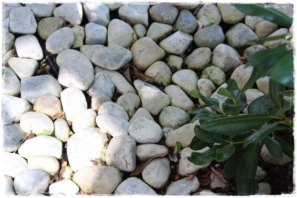 Jak wysypać kamienie w ogrodzie 1l