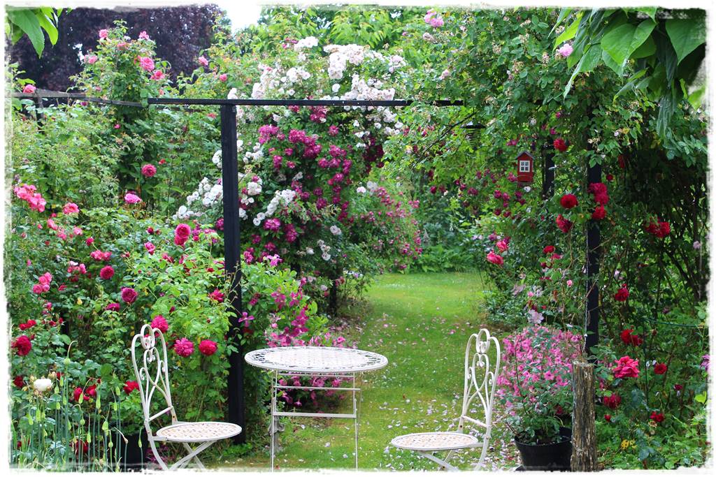 ogród romantyczny 1b