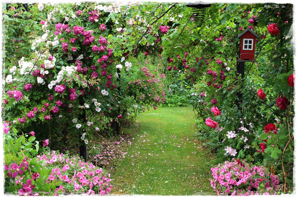 ogród romantyczny 3b