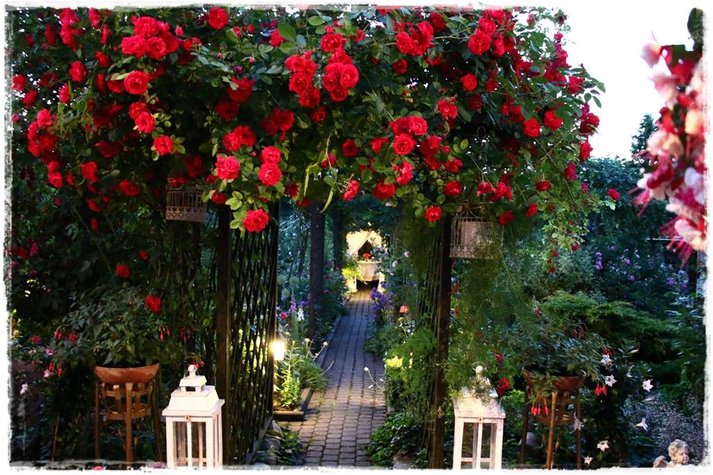 ogród romantyczny 4f