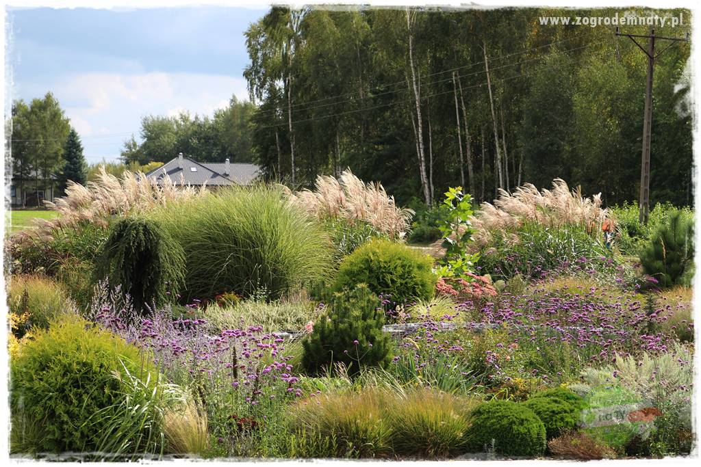 ogród naturalistyczny 26a