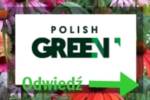 partner postu BLOG polish green