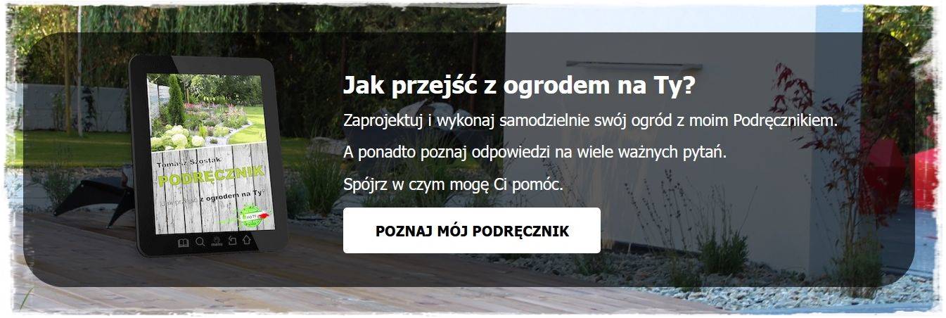 piękne trawy ozdobne 26a