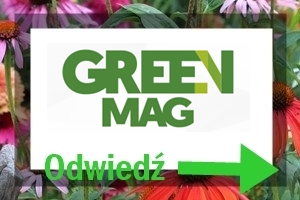 tani ogród 27aa