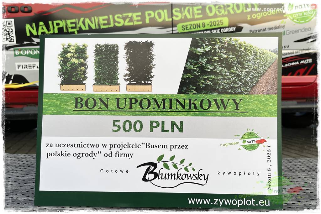 ogród na skarpie 112