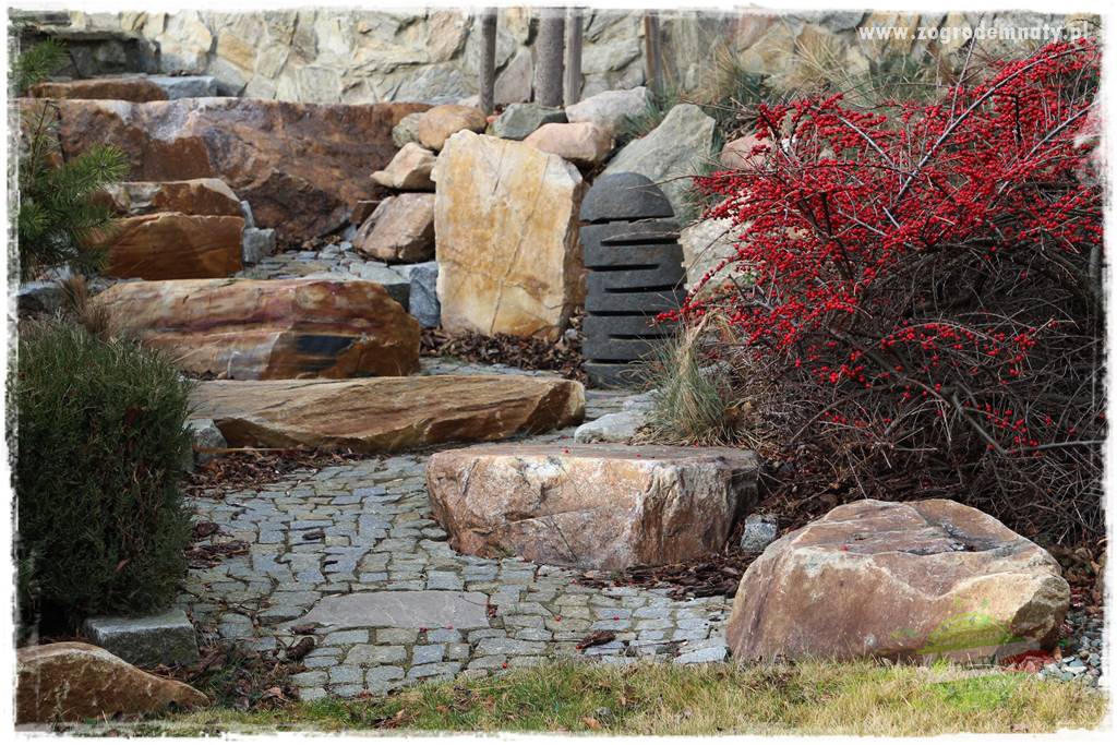 Krzewy ozdobne łatwe w uprawie 22 Krzewy ozdobne łatwe w uprawie 22