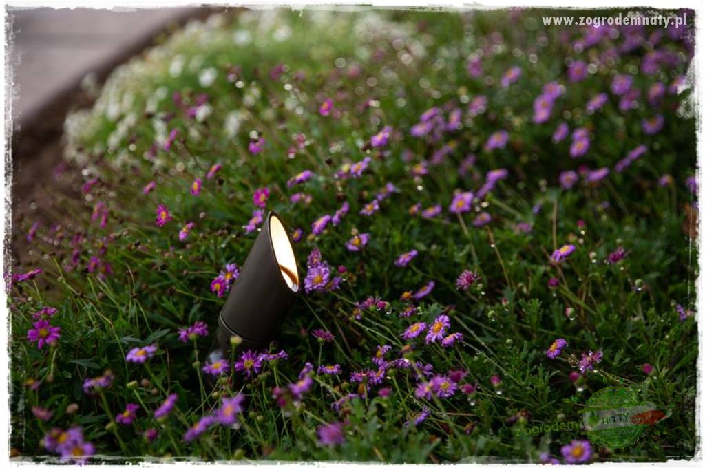 Nowoczesne oświetlenie ogrodu 15 Nowoczesne oświetlenie ogrodu 15