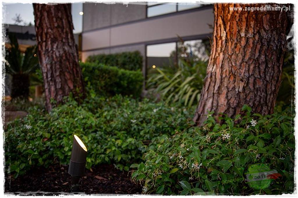 Nowoczesne oświetlenie ogrodu 41 Nowoczesne oświetlenie ogrodu 41