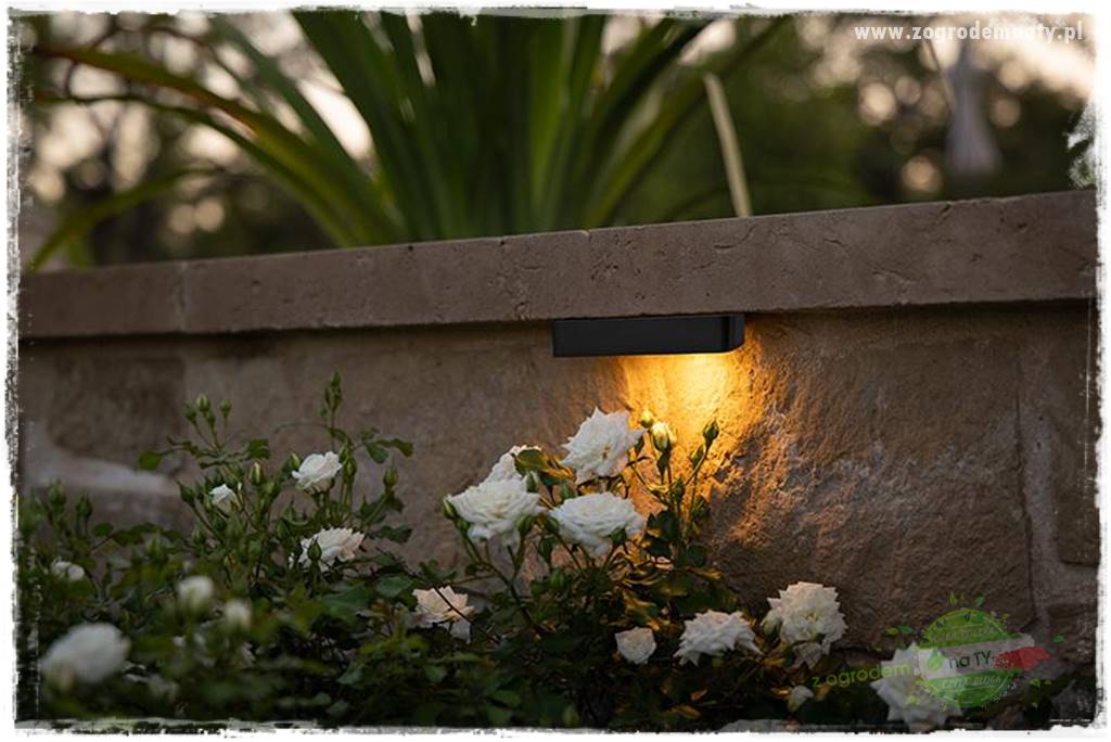 Nowoczesne oświetlenie ogrodu 44 Nowoczesne oświetlenie ogrodu 44