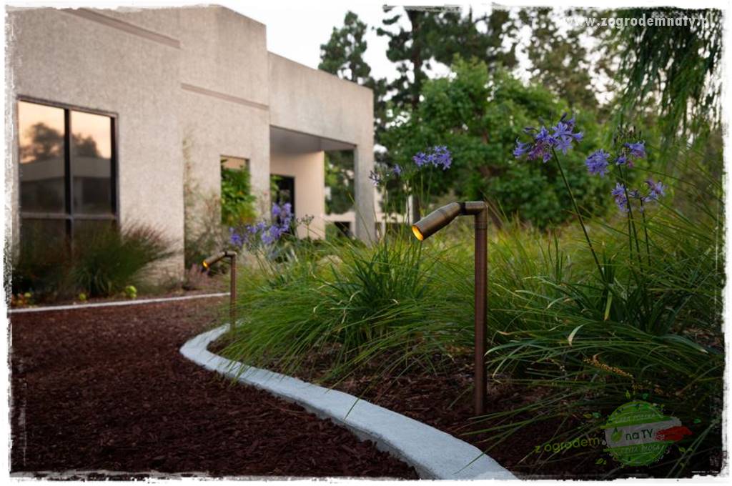 Nowoczesne oświetlenie ogrodu 51 Nowoczesne oświetlenie ogrodu 51