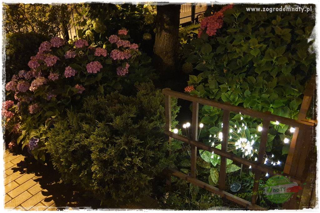 Nowoczesne oświetlenie ogrodu 7