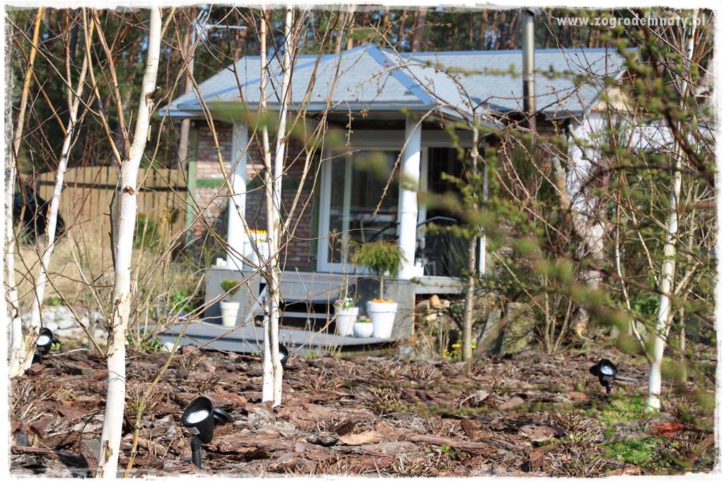 Rośliny kwasolubne 59 Rośliny kwasolubne 59