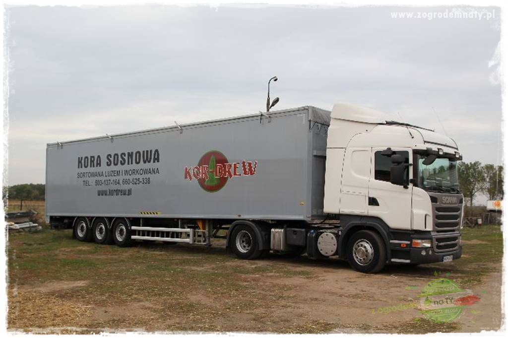 Rośliny kwasolubne 63