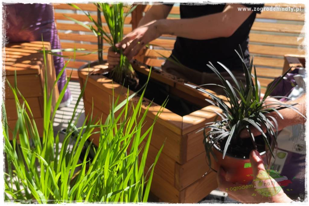 aranżacja balkonu 21 aranżacja balkonu 21