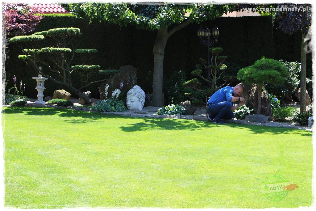 ogród polsko japoński 200