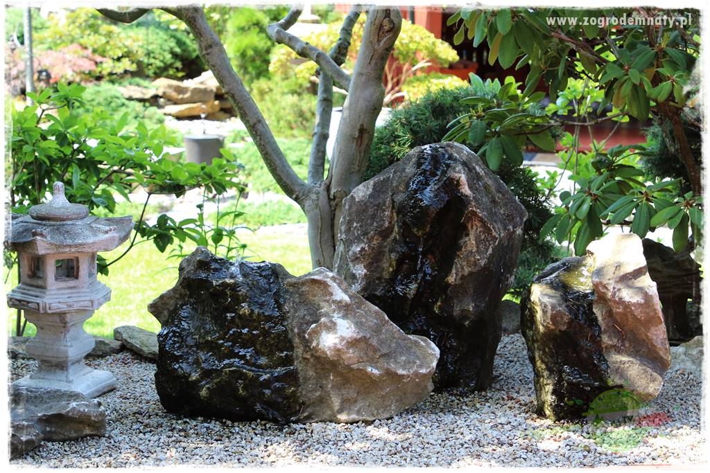 ogród polsko japoński 201 ogród polsko japoński 201