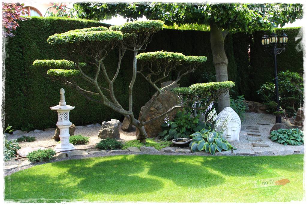 ogród polsko japoński 202 ogród polsko japoński 202