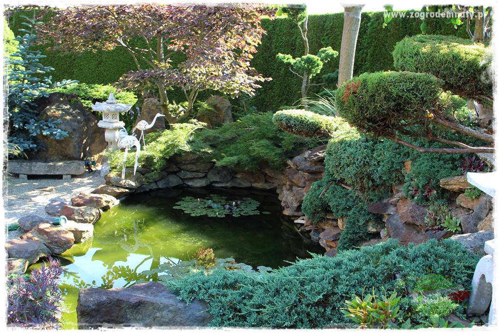 ogród polsko japoński 205 ogród polsko japoński 205