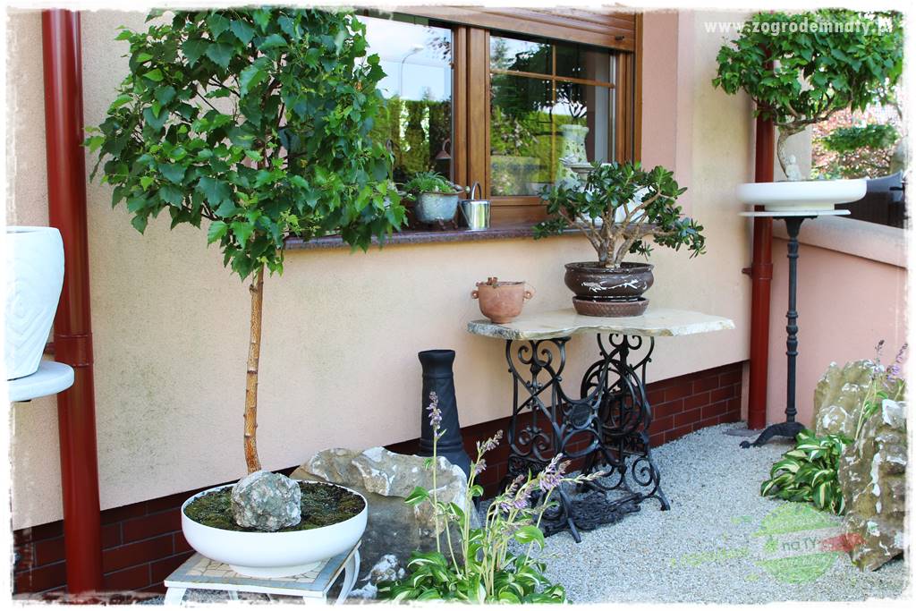 ogród polsko japoński 207 ogród polsko japoński 207