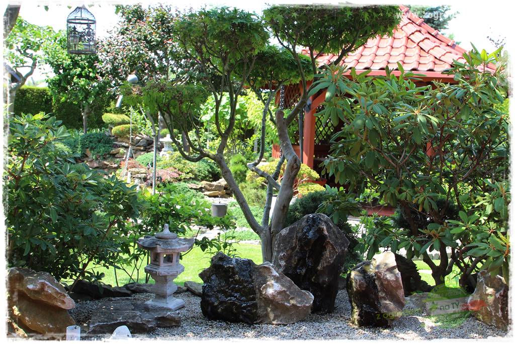 ogród polsko japoński 23 ogród polsko japoński 23