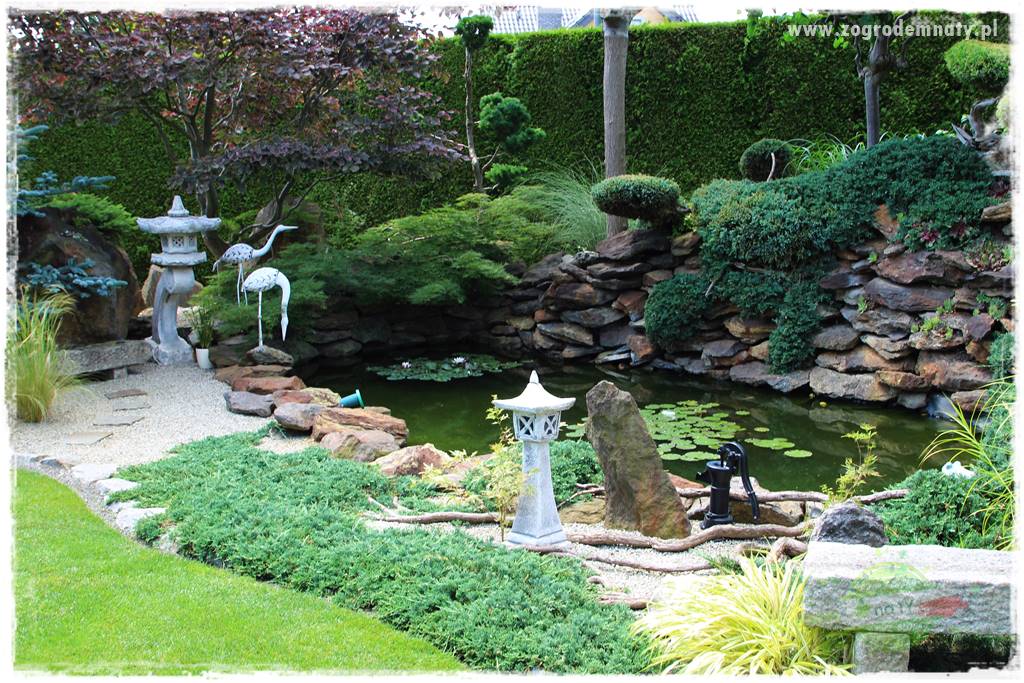 ogród polsko japoński 24 ogród polsko japoński 24