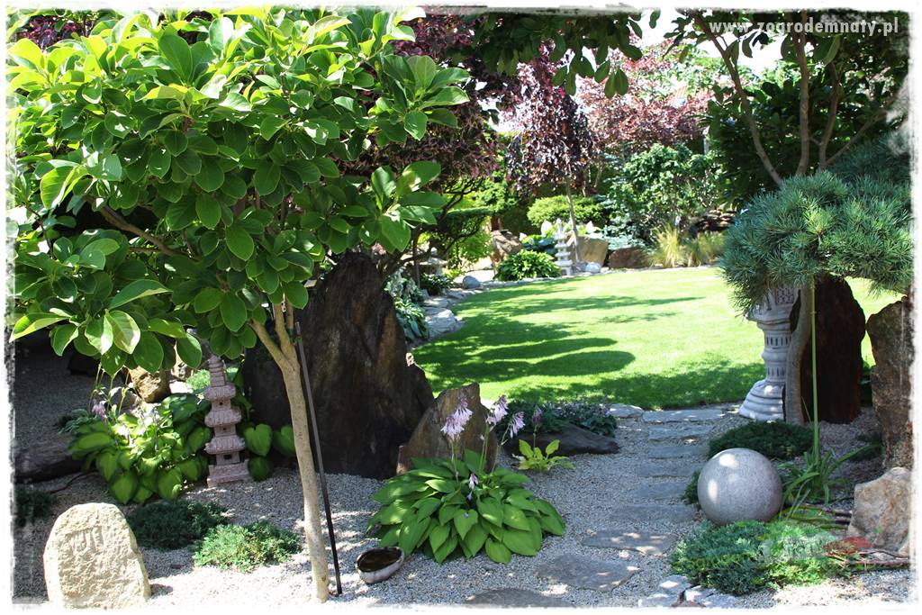 ogród polsko japoński 26 ogród polsko japoński 26