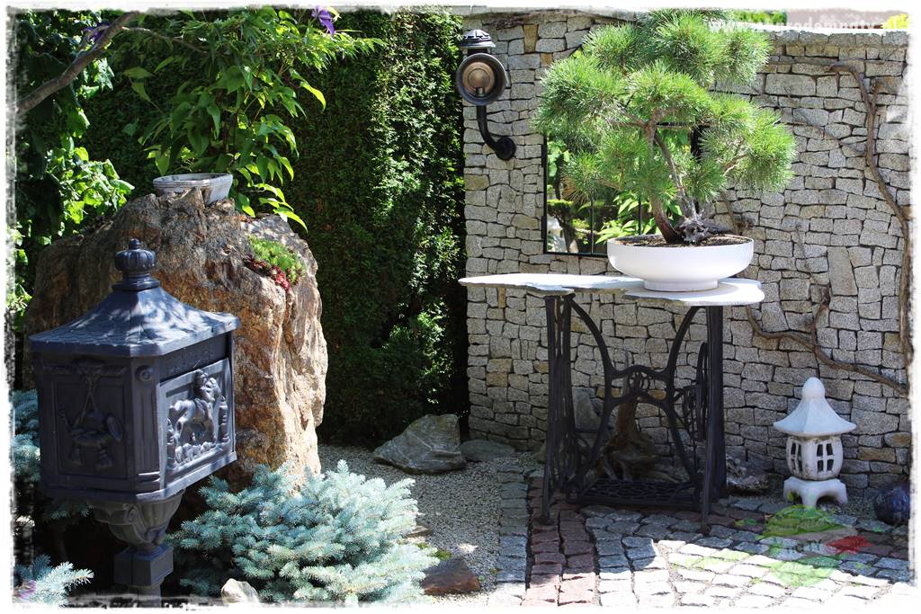 ogród polsko japoński 3 ogród polsko japoński 3