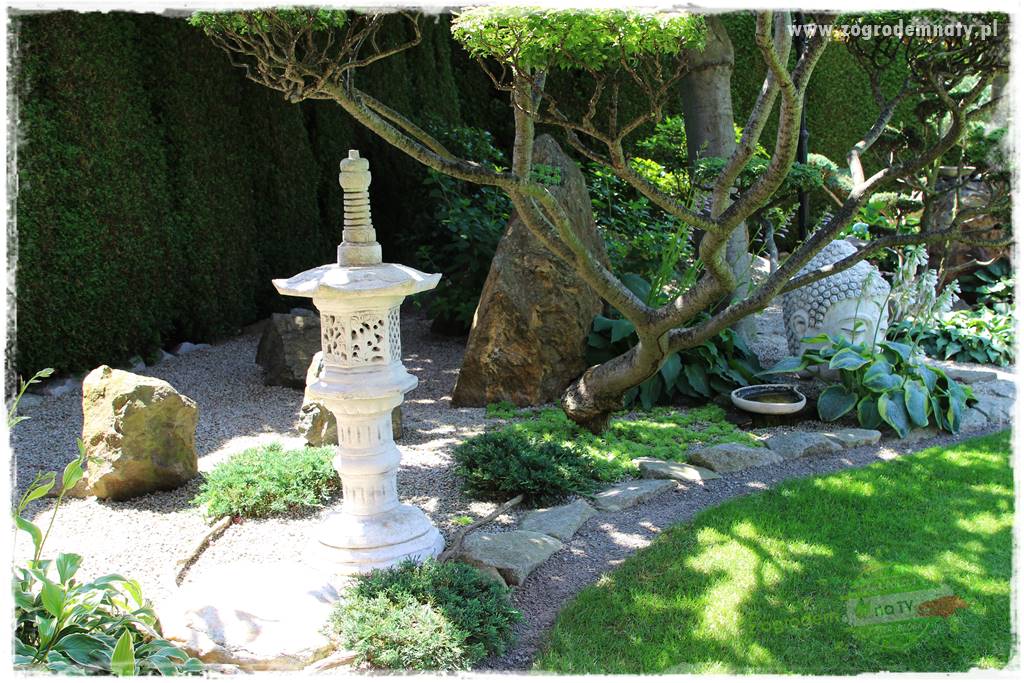 ogród polsko japoński 31 ogród polsko japoński 31
