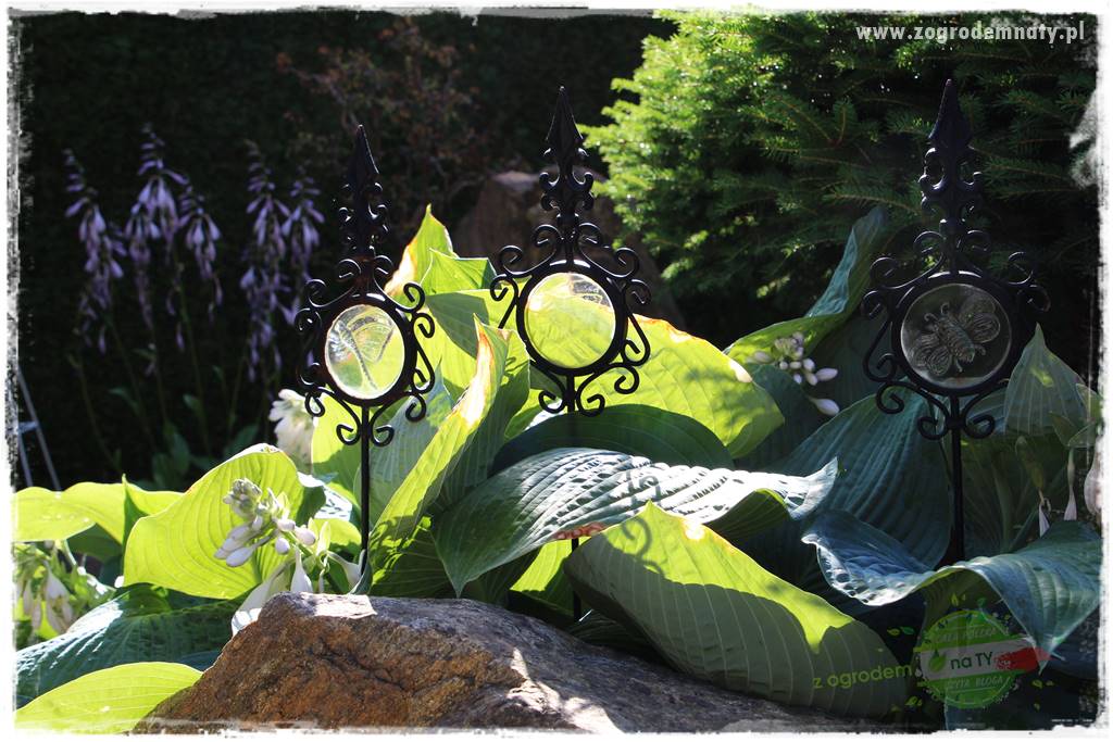 ogród polsko japoński 35 ogród polsko japoński 35