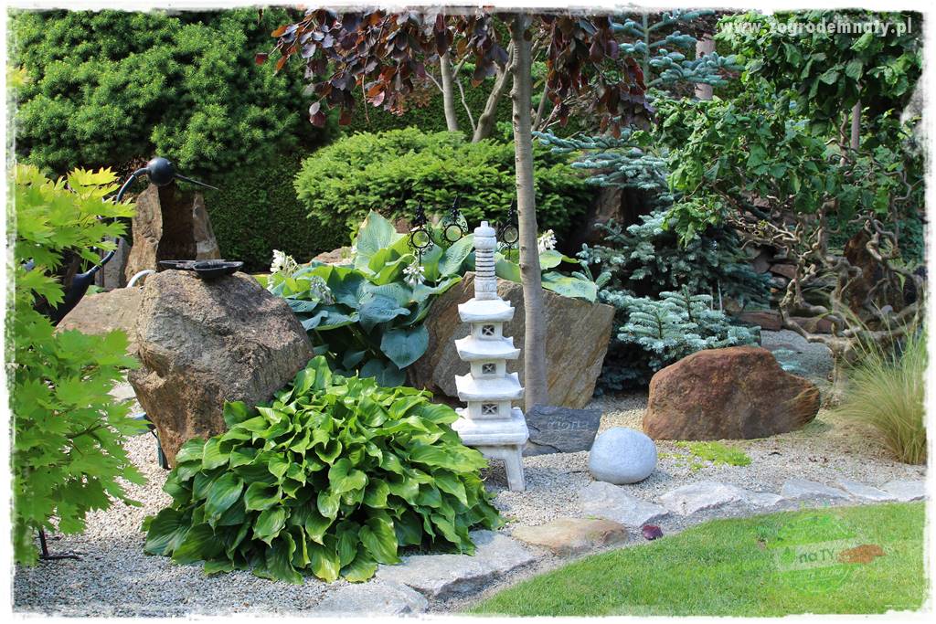 ogród polsko japoński 36 ogród polsko japoński 36
