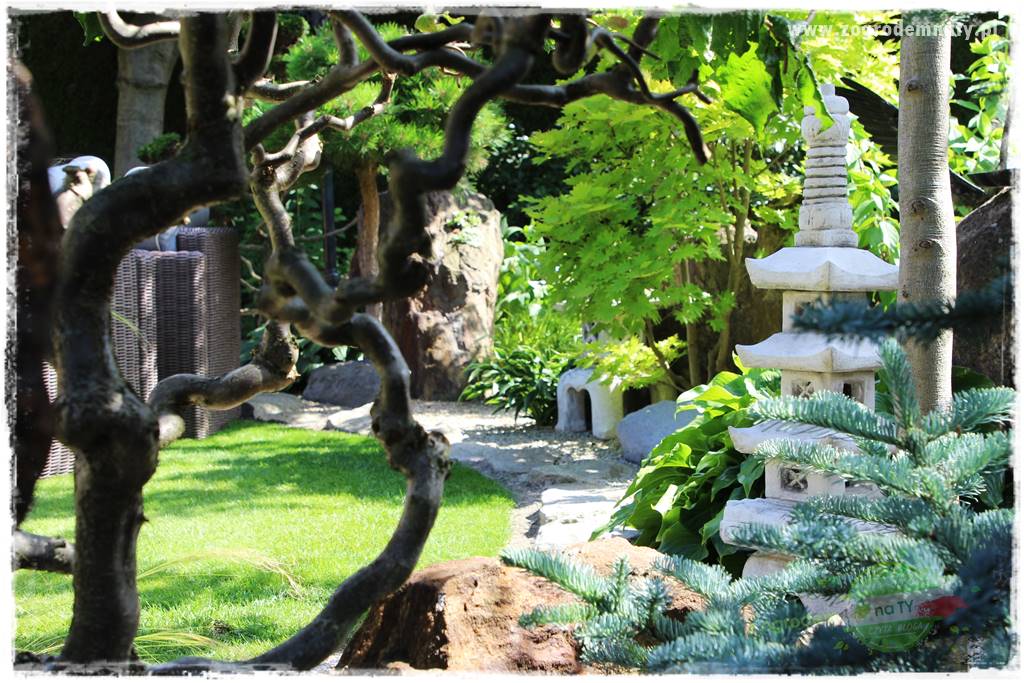ogród polsko japoński 37 ogród polsko japoński 37