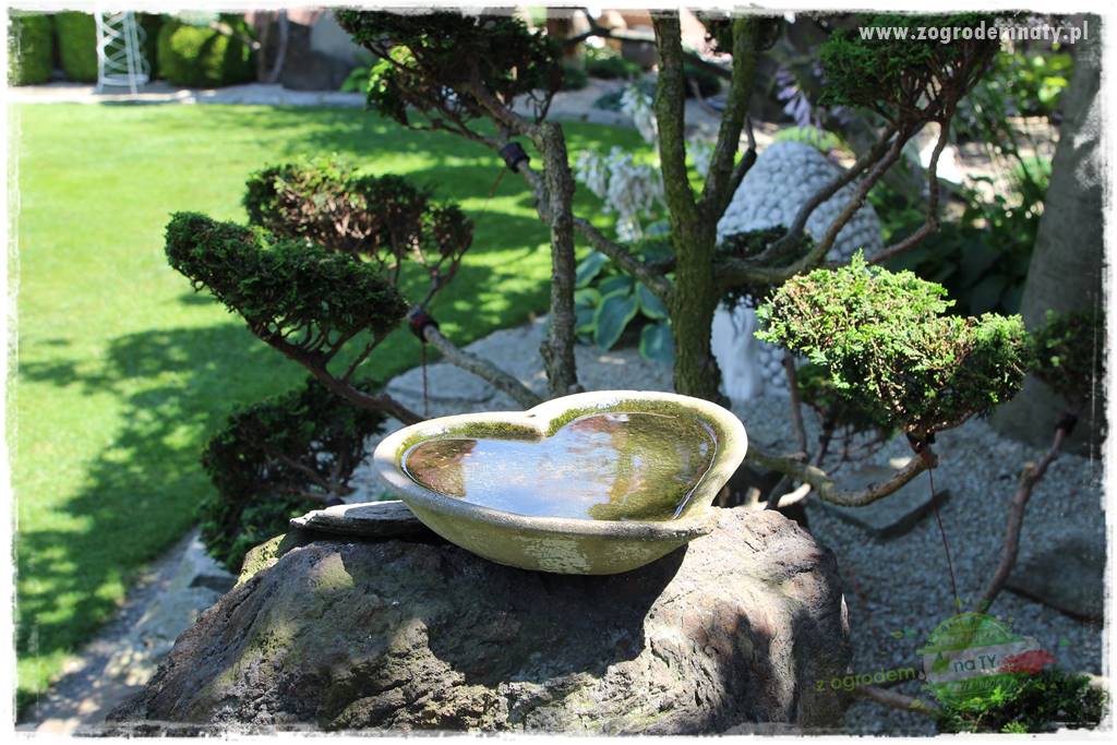 ogród polsko japoński 400 ogród polsko japoński 400