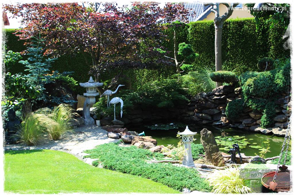 ogród polsko japoński 403 ogród polsko japoński 403