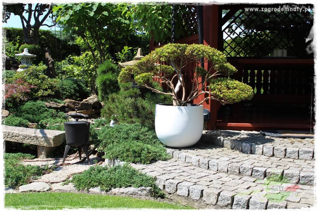 ogród polsko japoński 404 ogród polsko japoński 404