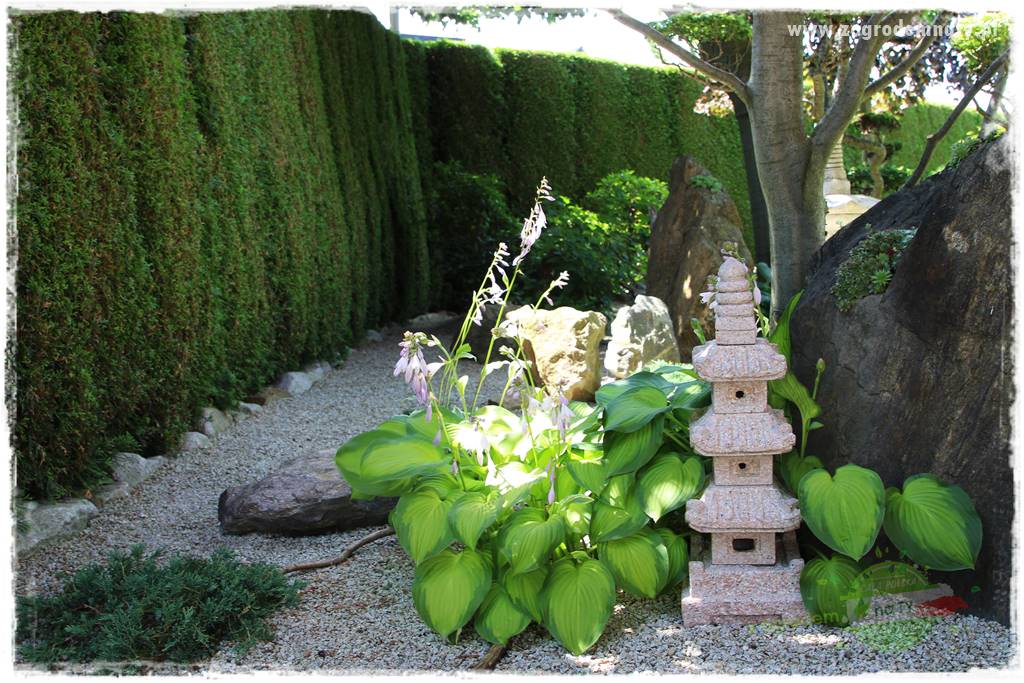 ogród polsko japoński 406 ogród polsko japoński 406